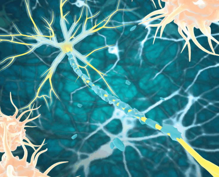 Autoimmune-Disease